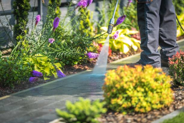Best Pool Deck Cleaning  in Dunlap, IN